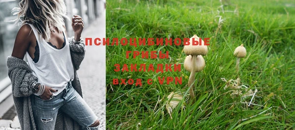 дживик Алзамай