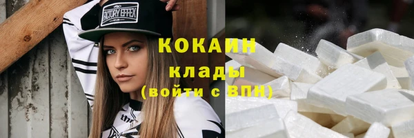 дживик Алзамай