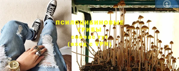 спайс Алексеевка