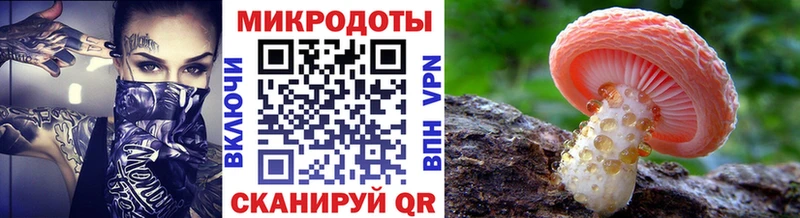 Галлюциногенные грибы Cubensis  как найти наркотики  Сорочинск 